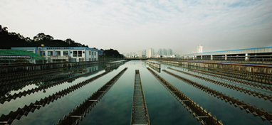 两会声音：城市“新洼地”之痛 如何补齐城市地下管网短板？